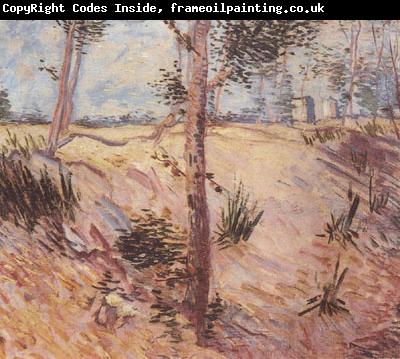 Vincent Van Gogh Trees in a Field on a Sunny Day (nn04)